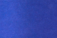 417-LUCA-VIOLA-MICA-62D