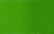 971-VERDE-ACIDO-MICA-64C